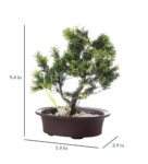 3 Branched Bonsai Tree with Thick Green Leaves and a Bird with Pot