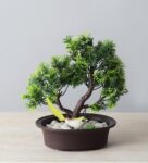 3 Branched Bonsai Tree with Thick Green Leaves and a Bird with Pot