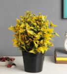 Plastic With Green Yellow Leaves And Flowers And Pot Artificial Plants