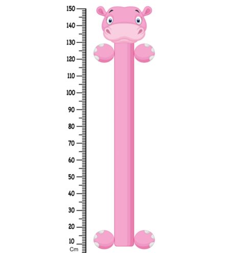 Baby Hippo Height Chart in Multicolour