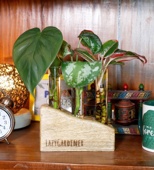 Brown Mango Wood Desk Planter With Glass Tube