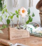 Brown Mango Wood Desk Planter With Glass Tube