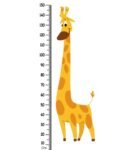 Cheerful Giraffe Height Chart In Multicolour