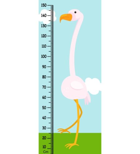 Egret Height Chart in Multicolour