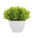 Polyester And Plastic Green And With Thin Green Leaves With Pot Artificial Plants