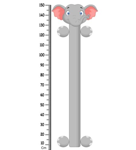 Funny Baby Lion Height Chart in Multicolour