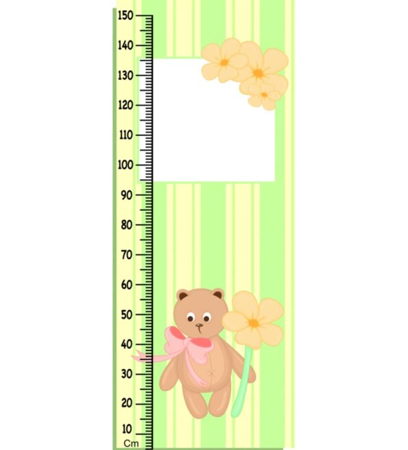 Girly Bear Uniform Height Chart in Multicolour