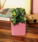 Glazed Pink Ceramic Square Shape Table Top Planter Pot