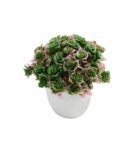 Plastic Green And Pink With Pot Artificial Plants