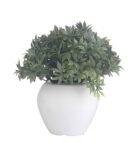 Plastic Green And Blend Small Leaves Mini Tree With Pot Artificial Plants