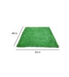 Green Polypropylene High Density 4 X 2 Feet Carpet (20 Mm) Artificial Grass