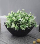 Plastic Green White Leaves & Flowers With Pot Artificial Plants