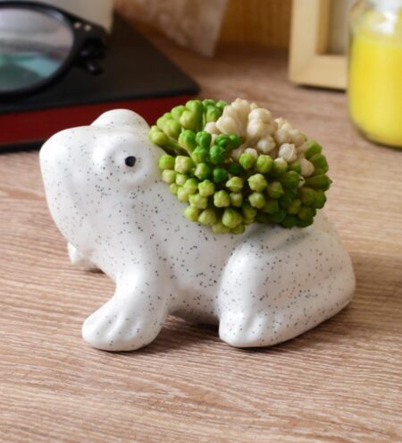 White Ceramic Mini Frog Pot