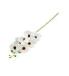 White Fabric Galsang Artificial Flower Stick Without Pot