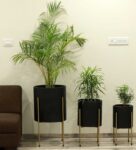 Black Fiber Glass Cylindrical Shaped Large Floor Planter Set of 3