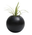 Black Fiber Glass Round Shaped Large Floor Planter