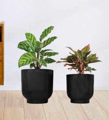 Black Metal Eva Floor Planter (Set Of 2)