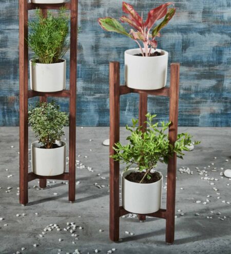 Brown Pine Wood Dark Finish Two Legged Planter Stand