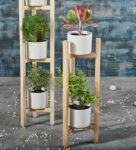 Brown Pine Wood Natural Finish Two Legged Planter Stand