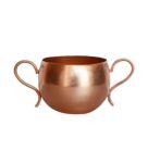 Copper Iron Zia Succulent Desk Pot