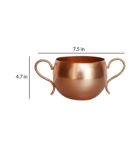 Copper Iron Zia Succulent Desk Pot