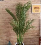 Synthetic Green 4 Branches Decorative Arica Floor Without Pot Artificial Plants