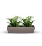 Dholpur Beige Polymer Fabi Big Floor Planter