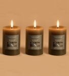 Eucalyptus Mint Aroma Set of 3 Scented Candles