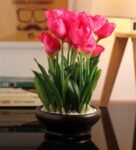 Pink Tulip with Ceramic Vase