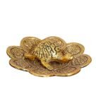 Golden Metal Tortoise In Plate