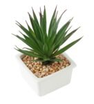 Green Artificial Succulent Plant with Ceramic Pot