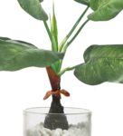 Green Fabric Artificial Umbellata Plant in a Glass Vase