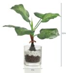 Green Fabric Artificial Umbellata Plant in a Glass Vase