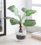 Green Fabric Artificial Umbellata Plant in a Glass Vase