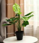 Green Plastic Artificial Photos Plant with pot