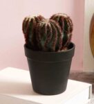 Green Plastic Close To Nature Artificial Cactus Plant With Plastic Pot