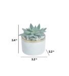 Polyester Green Succulent Bonsai With Pot Artificial Plants