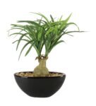 Green & White Polyester Natural Looking Nolina Bonsai Artificial Plant With Ceramic Pot