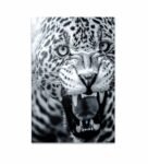 Snow Leopard Grey Canvas Teakwood And MDF Framed Wildlife Art Print