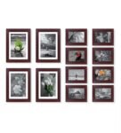 Brown Synthetic Wood Indivisual (Set Of 12)) Rose Collage Photo Frames