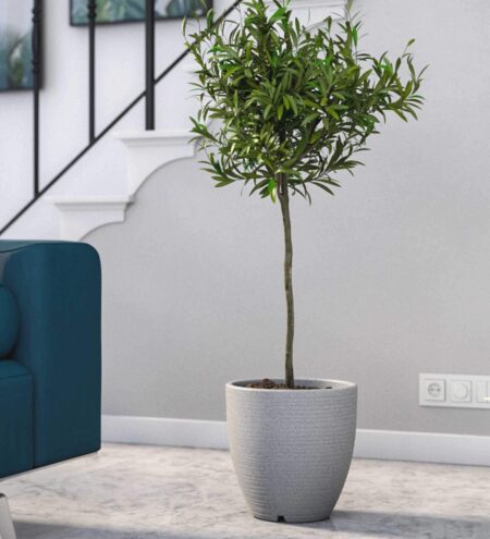 Milano Grey Polymer Iraka Small Floor Planter