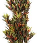 Polyester Della Multicolor Croton Without Pot Artificial Plant