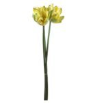 Yellow Fabric Artificial Single Lotus Flower Stem Set Of 3