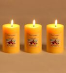 Tropical Mist Aroma Set of 3 Scented Candles