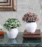 Plastic White And Pink Leaves With Pot Set Of 2 Artificial Plants