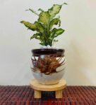 Wooden Planter Stand