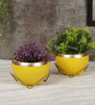 Yellow & Gold Iron Apple Planter Set of 2